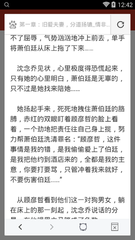 爱游戏网站赞助罗马